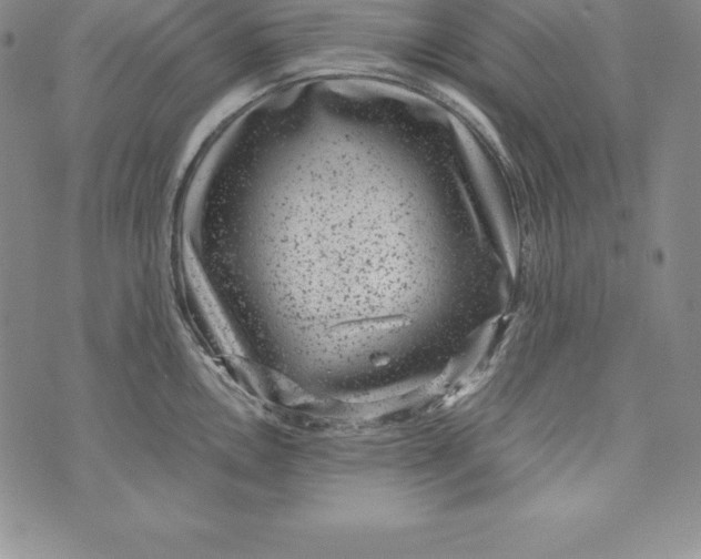 X0000072501146200608041435