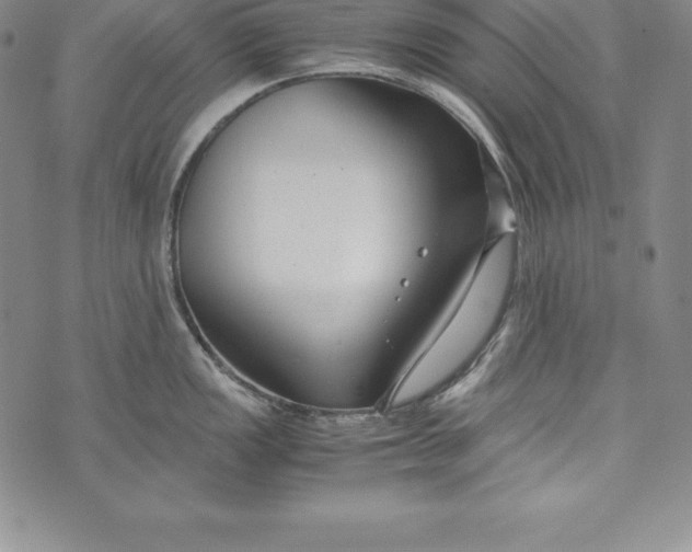 X0000072501149200608041435