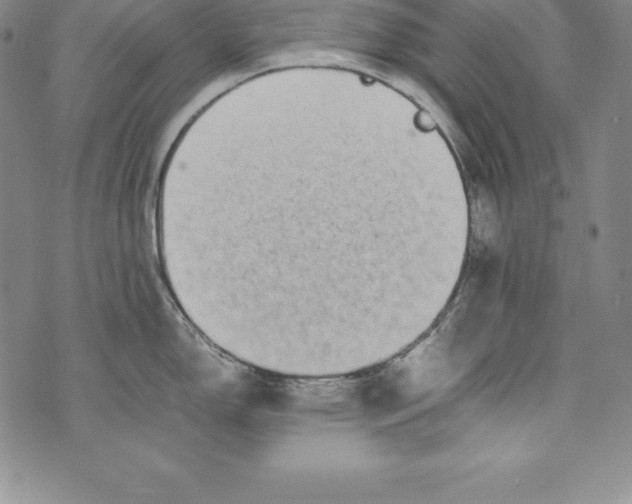 X0000072501150200608041435