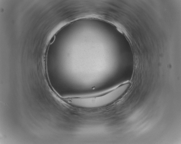 X0000072501151200608041435