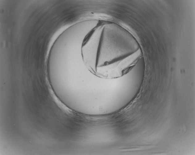 X0000072501152200608041435