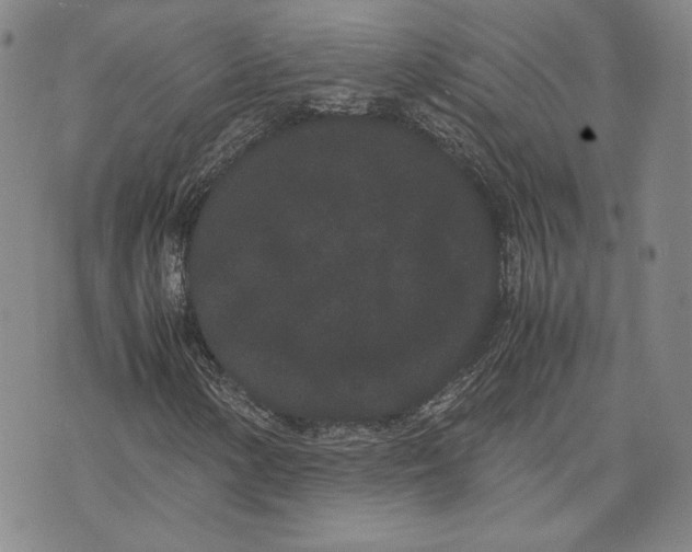 X0000072501154200608041434