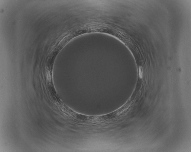 X0000072501155200608041434