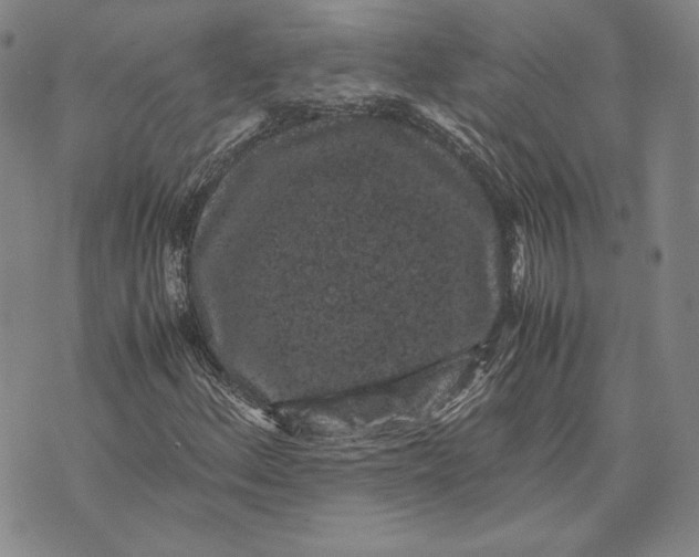 X0000072501156200608041434