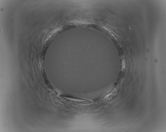 X0000072501157200608041434