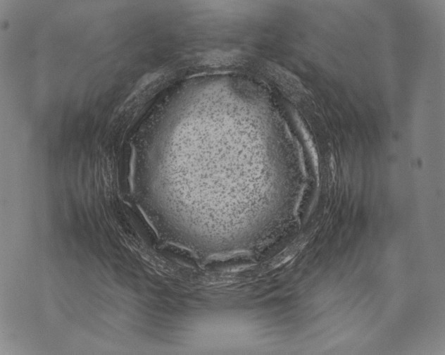 X0000072501158200608041434