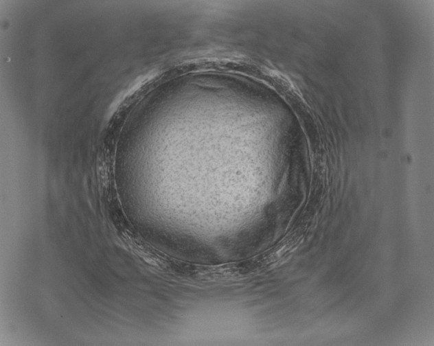 X0000072501159200608041434