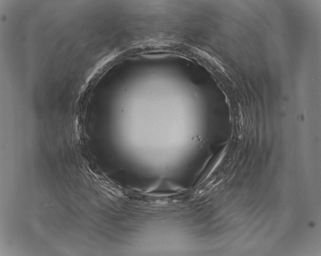 X0000072501160200608041434