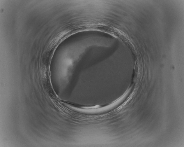 X0000072501161200608041434