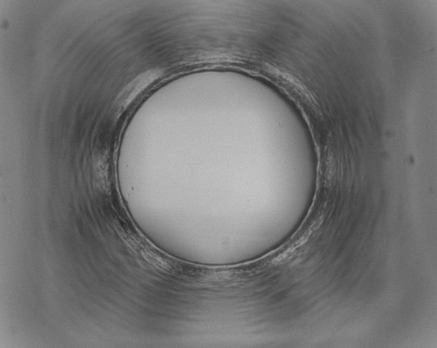 X0000072501162200608041434