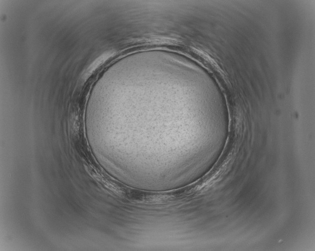 X0000072501163200608041434