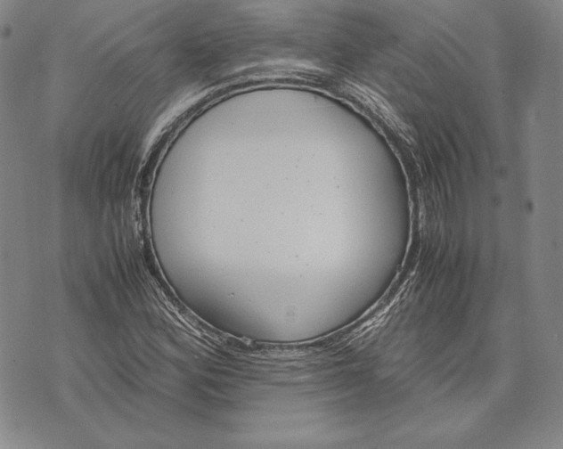 X0000072501164200608041434