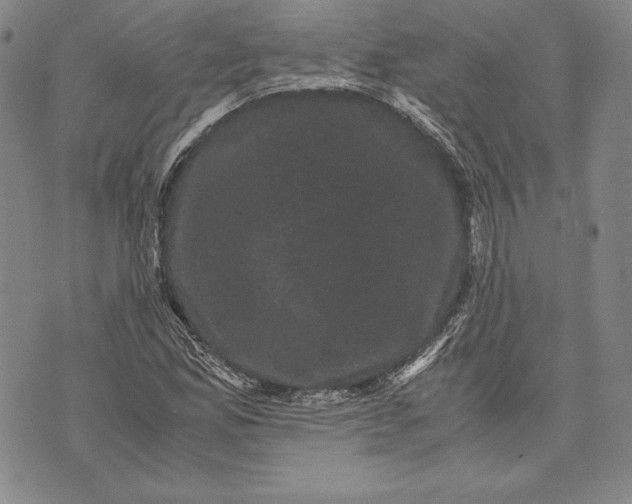 X0000072501165200608041434