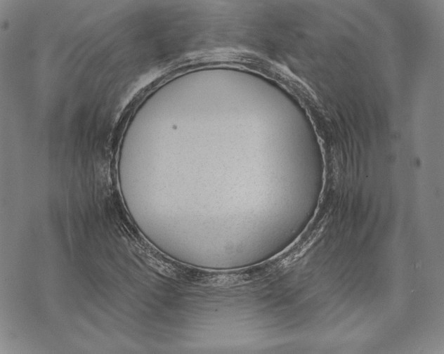 X0000072501166200608041434