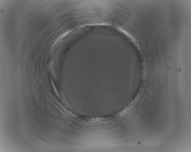 X0000072501169200608041434