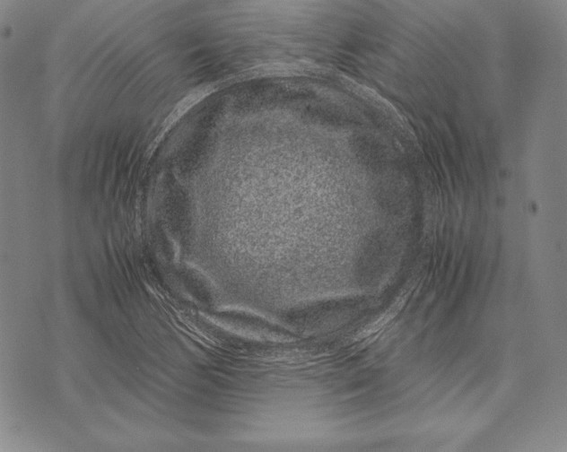 X0000072501170200608041434