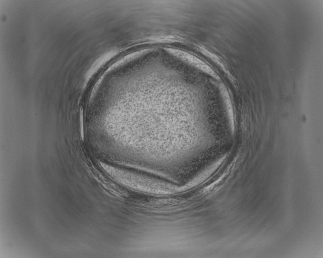 X0000072501171200608041434