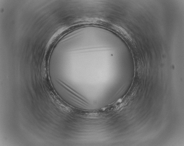 X0000072501172200608041434