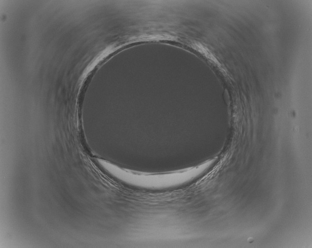 X0000072501173200608041434