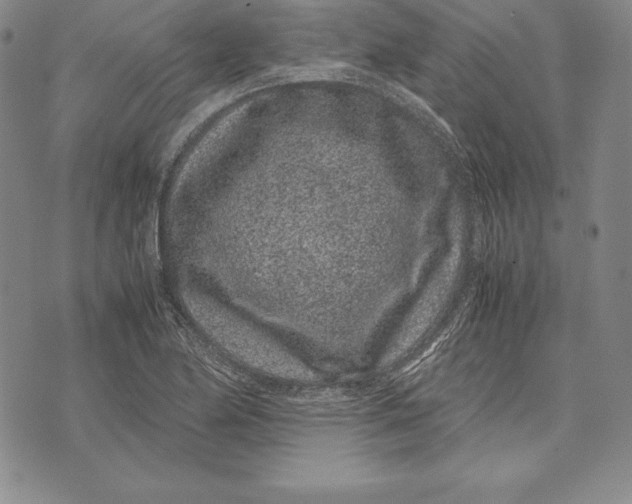 X0000072501174200608041434