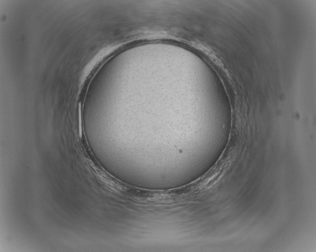 X0000072501175200608041434