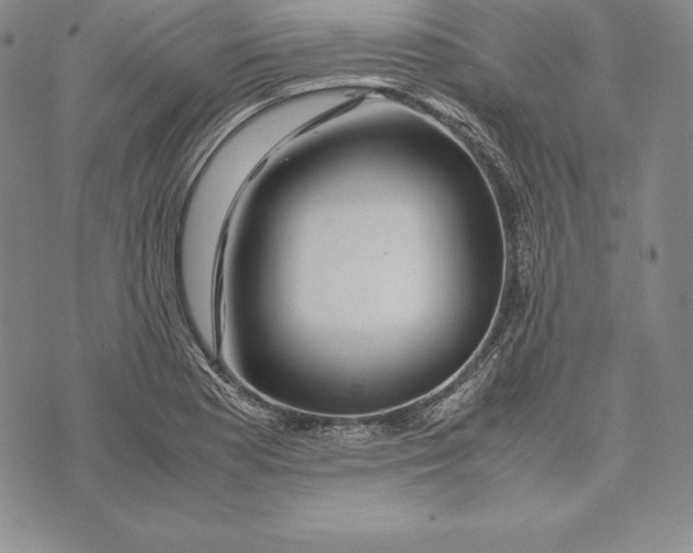 X0000072501177200608041434