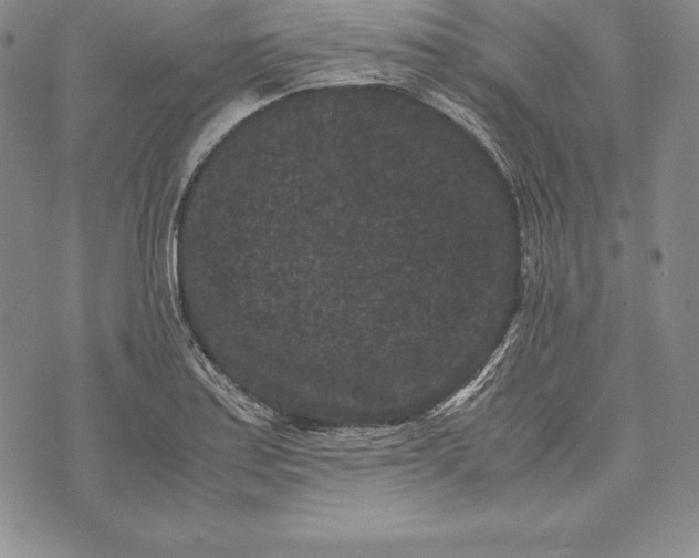 X0000072501179200608041433