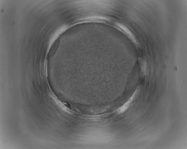 X0000072501180200608041433