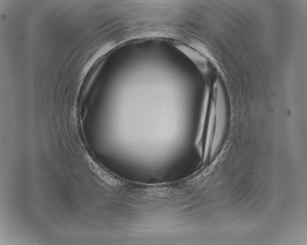 X0000072501181200608041433