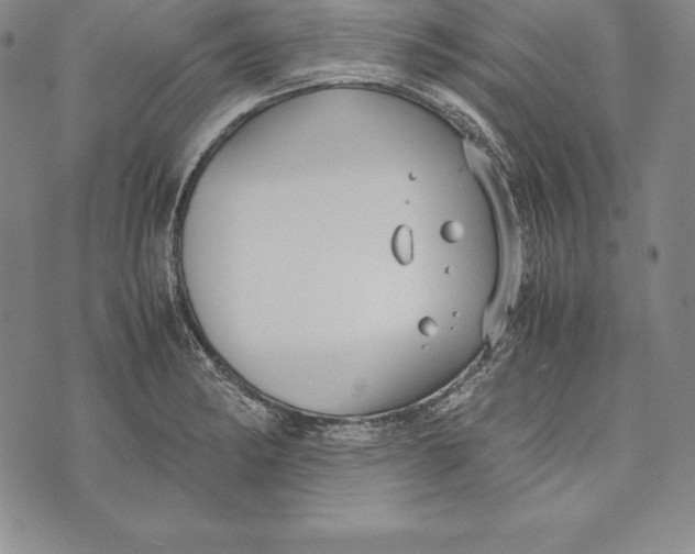 X0000072501182200608041433