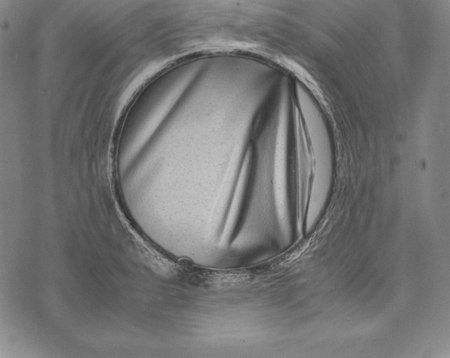 X0000072501183200608041433