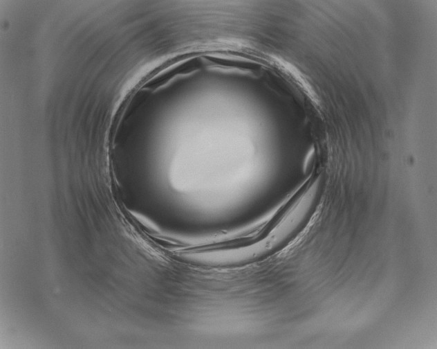 X0000072501184200608041433