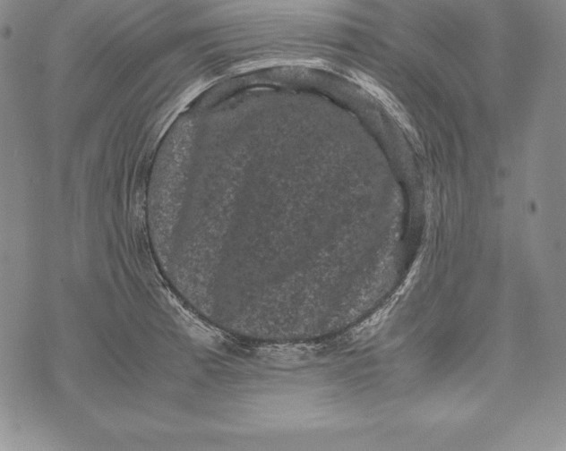 X0000072501185200608041433