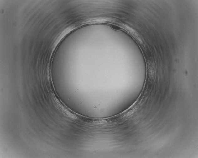 X0000072501186200608041433