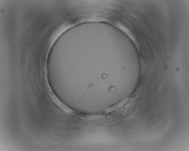 X0000072501187200608041433