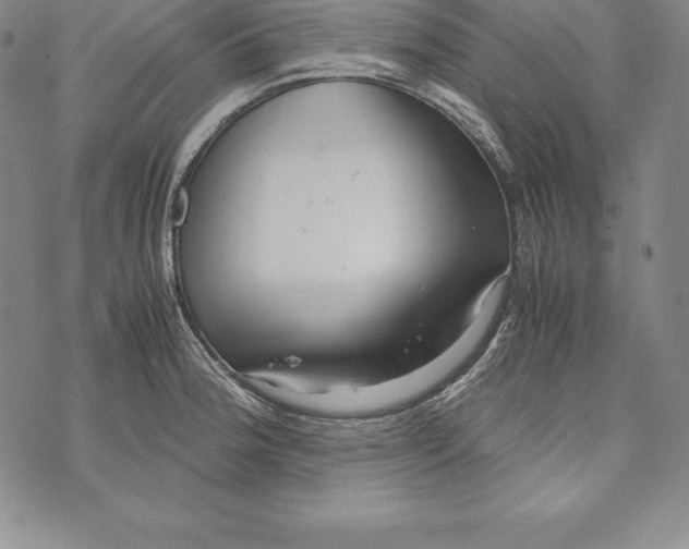 X0000072501188200608041433