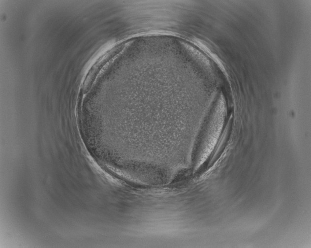 X0000072501189200608041433