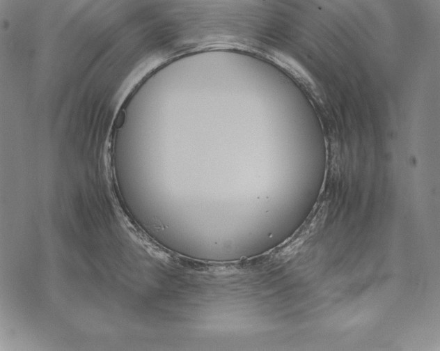 X0000072501190200608041433