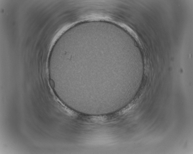 X0000072501191200608041433