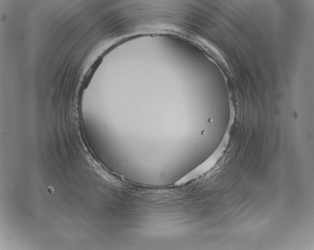 X0000072501192200608041433