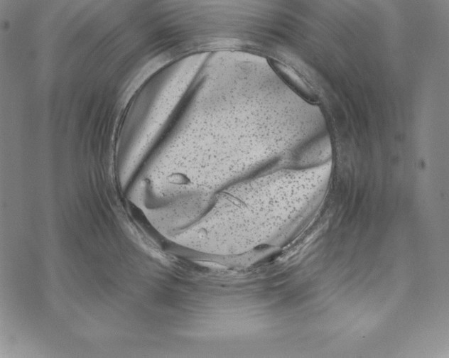 X0000072501194200608041433