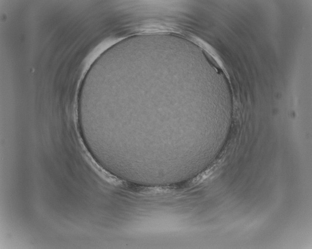 X0000072501195200608041433