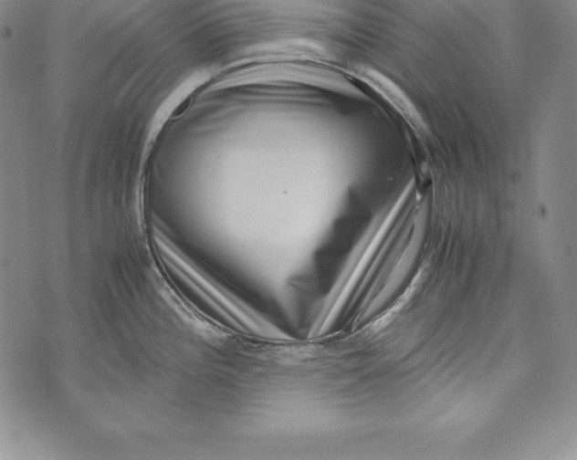 X0000072501196200608041433