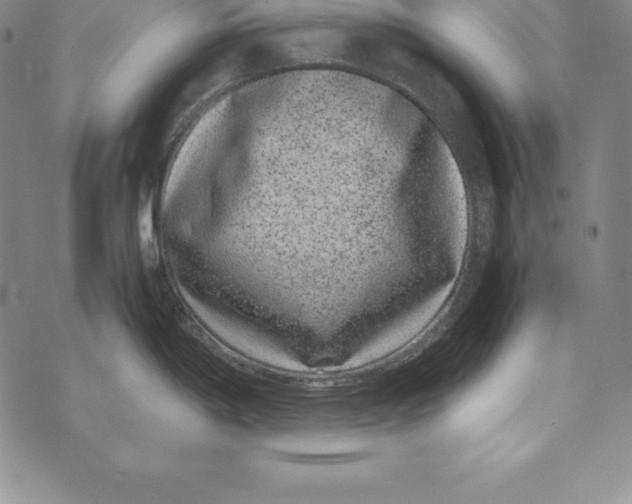 X0000072501198200608041433