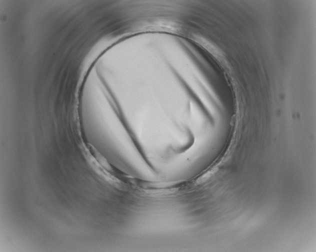 X0000072501200200608041433