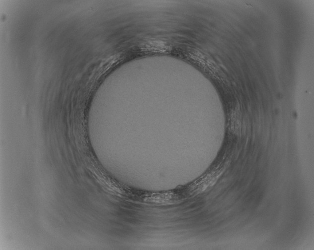 X0000072501201200608041432