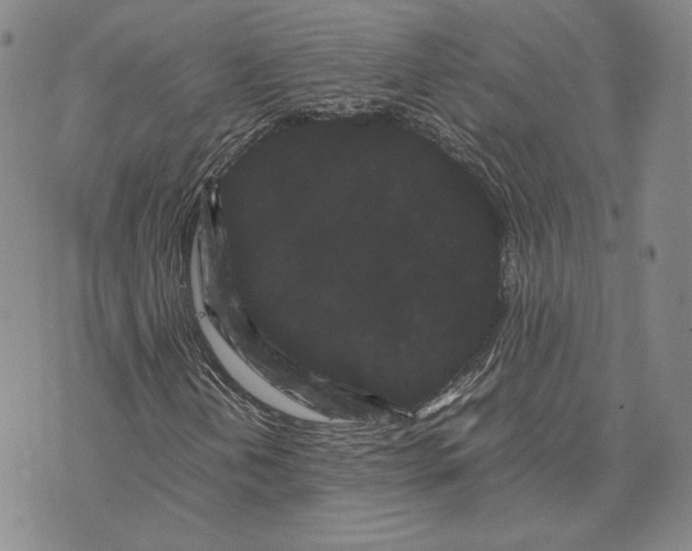 X0000072501202200608041432