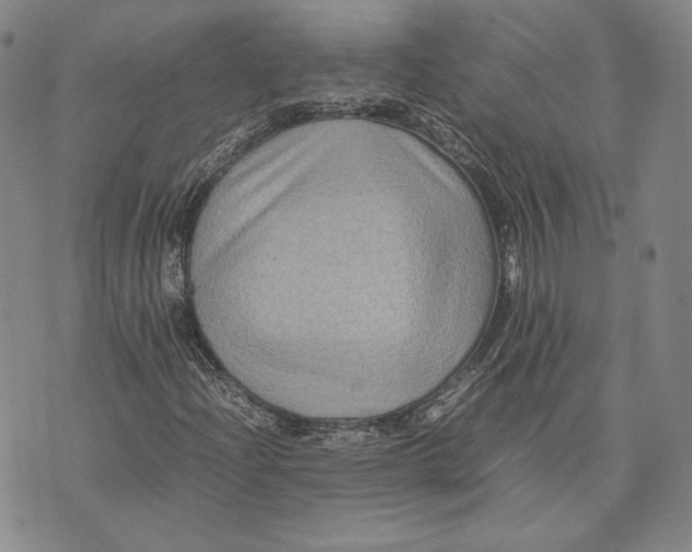 X0000072501204200608041432