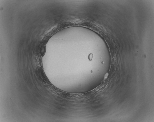 X0000072501205200608041432