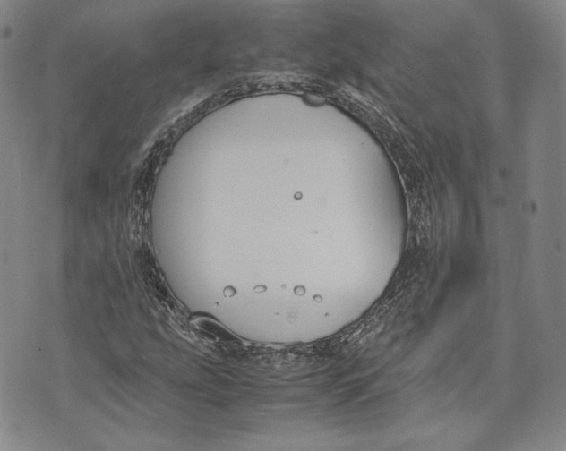 X0000072501207200608041432